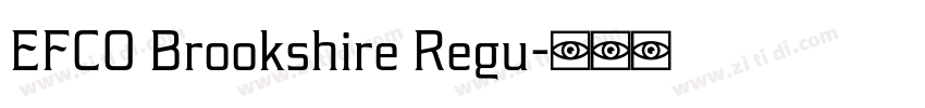 EFCO Brookshire Regu字体转换